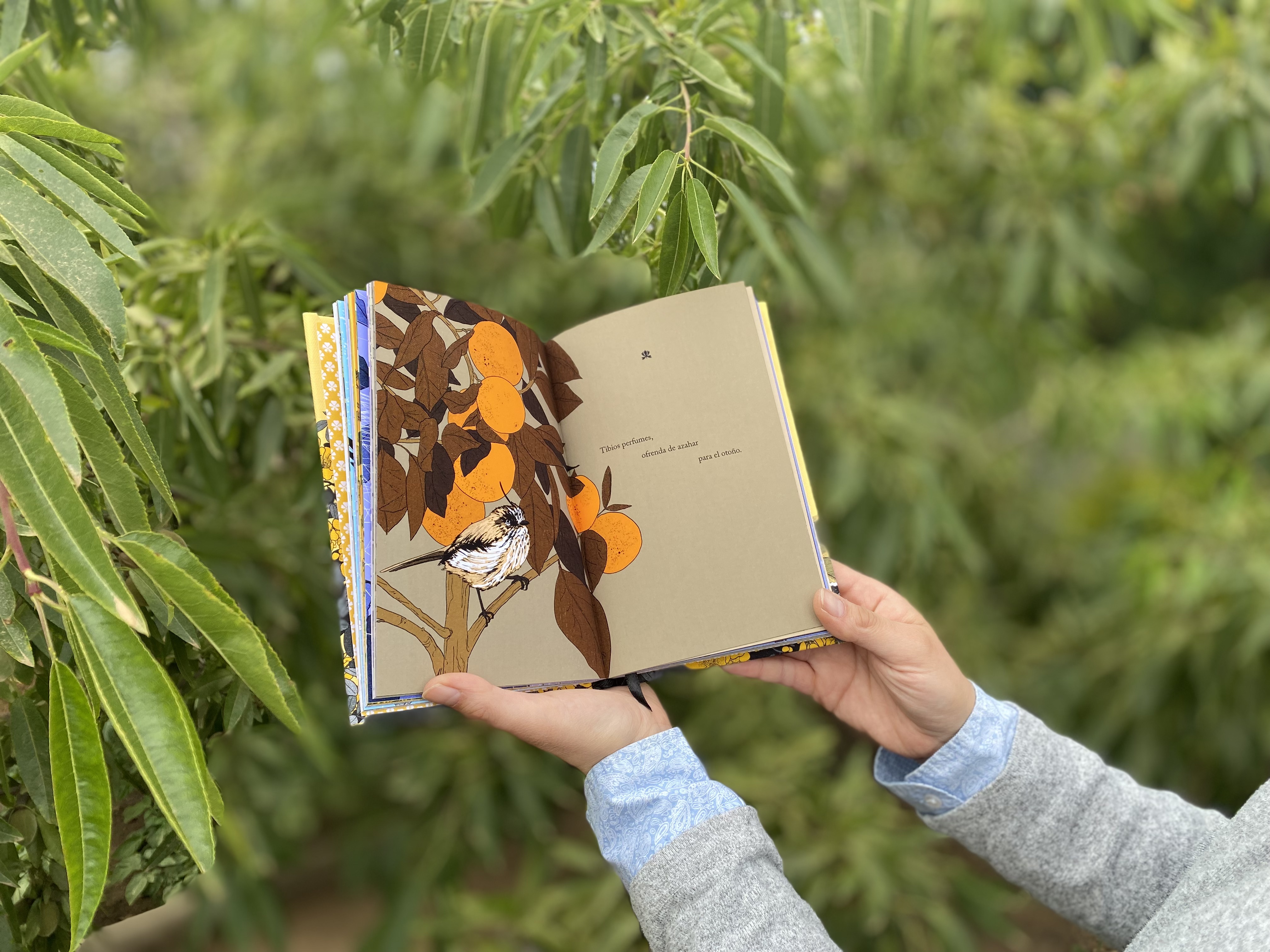 Vista de la encuadernación artesanal y lomo cosido del libro