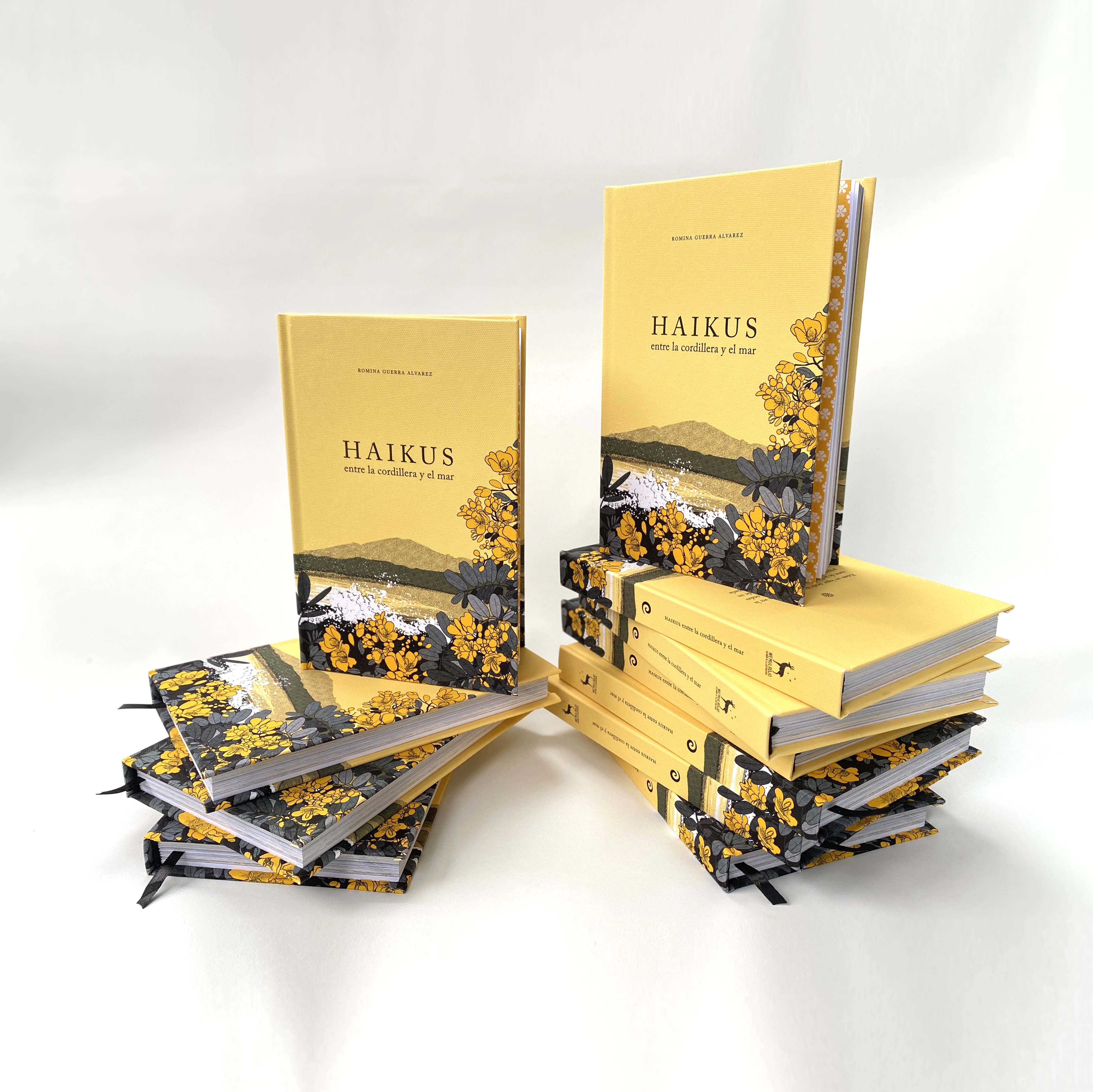 Registro del libro Haikus entre la cordillera y el mar de Romina Guerra Alvarez